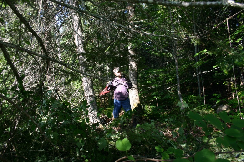 Drive to Michigamme and Dutchmen gets Stuck in the Forrest - 11