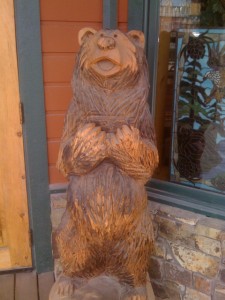 Shy Bear