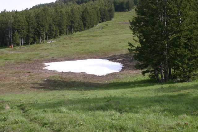 Last Snow left on Snow King