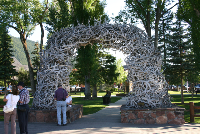 Antler Arches