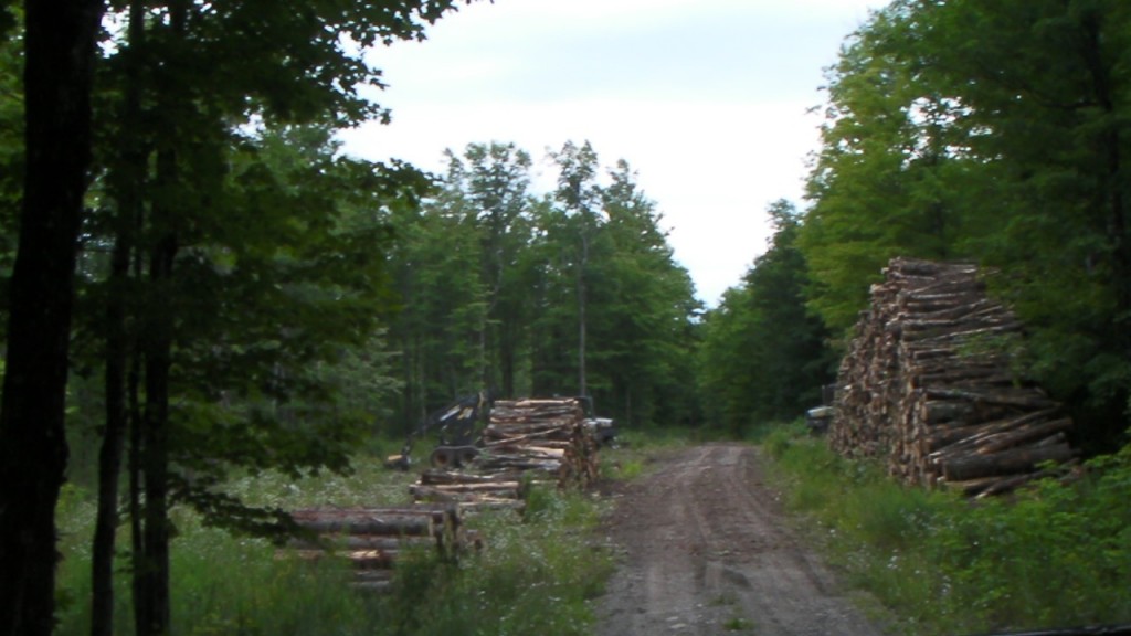 Ned Lake - 08