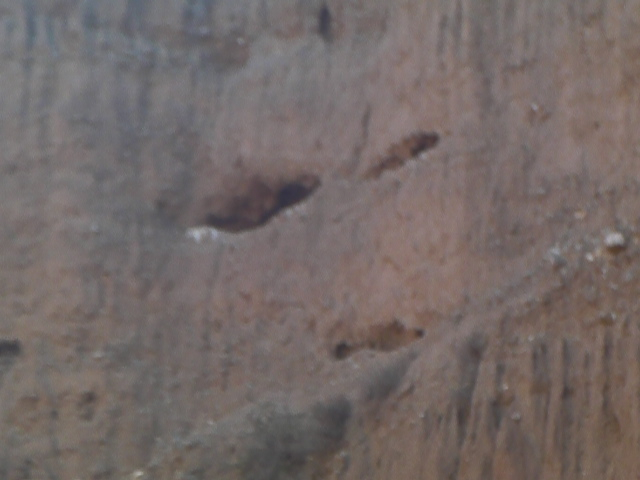 Wierd Face in the Canyon