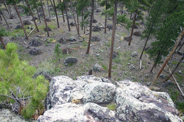 Black Hills South Dakota and Jewel Cave - 09